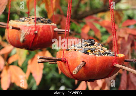 Home zucca fatta alimentatori di uccelli. A sinistra sopra le zucche riempito con semi per giardino degli uccelli in autunno, REGNO UNITO Foto Stock