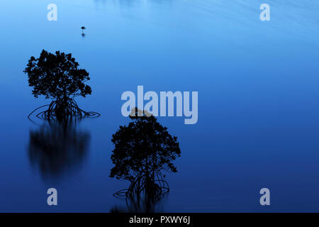 Okinawa, Giappone Foto Stock