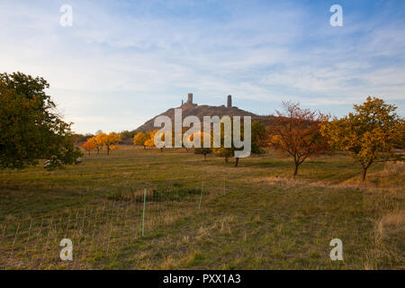 Famoso Castello Hazmburk al tramonto.Central Bohemian Uplands,Repubblica Ceca. In cima alla montagna ci sono le rovine di un castello medievale, di cui Foto Stock