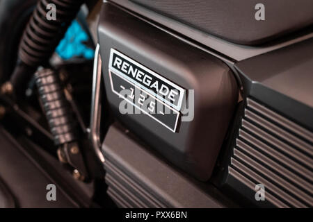 Il design del motore dettagli, radiatore dal moto personalizzate in Italia, Roma. Parti nere, chrome tubazioni Foto Stock