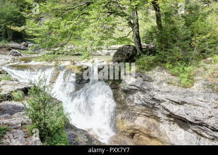 Le cascate e rapide nel Rio Bellos canyon sulla coperta di foresta montagne rocciose nel cañon de Añisclo valle, nella regione di Aragona, Spagna Foto Stock