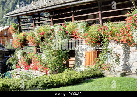 Un tipico lodge Walser, fatta di pietra e con la scheda protetto balconi in legno con fiore di piantatrici, in Val d'Otro valley, alpi, Italia Foto Stock