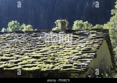 Una tipica casetta rurale tetto è realizzato con muschi e licheni piastrelle coperte durante una soleggiata estate nelle Alpi piemontesi montagne, Italia Foto Stock