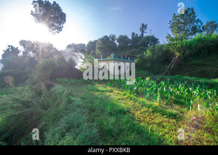 Fattoria in Bageswar, Uttrakhand, India Foto Stock