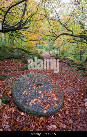 Vecchio palmento di copertura nella caduta foglie accanto al percorso in Padley Gorge, Peak District, Derbyshire, in Inghilterra. Una scena autunnali. Foto Stock