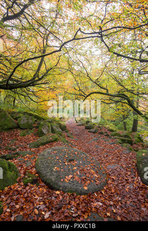 Vecchio palmento di copertura nella caduta foglie accanto al percorso in Padley Gorge, Peak District, Derbyshire, in Inghilterra. Una scena autunnali. Foto Stock