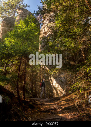 Turista femminile ammirando la pietra arenaria uniche formazioni rocciose sul sentiero del cosiddetto fungo rocce o funghi di roccia del monte Table Nationa Foto Stock