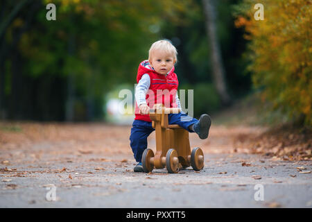 Piccolo bimbo ragazzo con Teddy bear, equitazione in legno equilibrio del cane in bici nel Parco di autunno su una soleggiata giornata calda, bambini attività per il tempo libero e la felicità conce Foto Stock