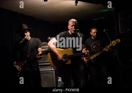 Dodgy live al 2018 Stoke Newington Festival di musica, trio composto da Nigel Clark Guitar vocals, Andy Miller Guitar vocals, Stu Thoy Bass, arpa, Vox Foto Stock