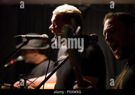 Dodgy live al 2018 Stoke Newington Festival di musica, trio composto da Nigel Clark Guitar vocals, Andy Miller Guitar vocals, Stu Thoy Bass, arpa, Vox Foto Stock