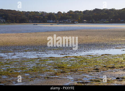 Estuario courtmachsherry a bassa marea, West Cork in Irlanda Foto Stock