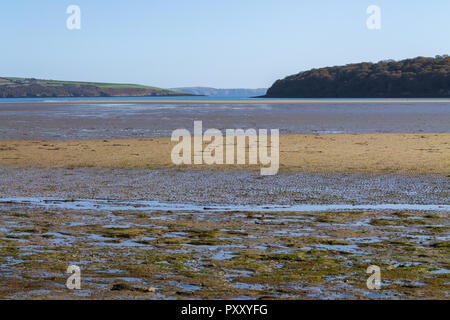 Estuario courtmachsherry a bassa marea, West Cork in Irlanda Foto Stock