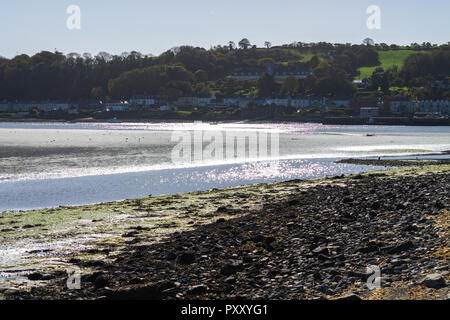 Estuario courtmachsherry a bassa marea, West Cork in Irlanda Foto Stock