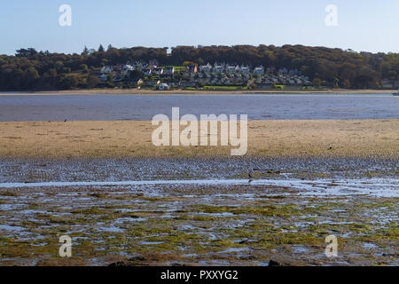 Estuario courtmachsherry a bassa marea, West Cork in Irlanda Foto Stock