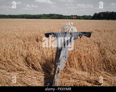 Lo Spaventapasseri nel campo di grano Foto Stock