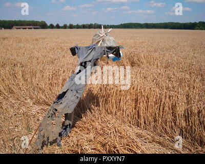 Lo Spaventapasseri nel campo di grano Foto Stock