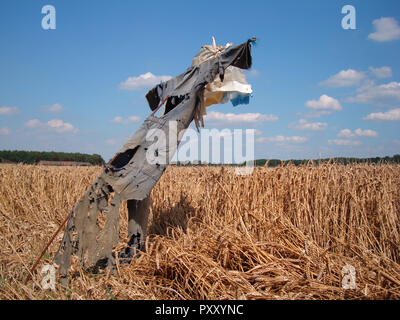 Lo Spaventapasseri nel campo di grano Foto Stock