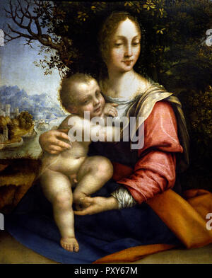 Madonna con Bambino (Madonna dell'albero) 1512 - 1520 da Cesare da Sesto1477-1523 15-16Secolo, Italia, italiano. Foto Stock