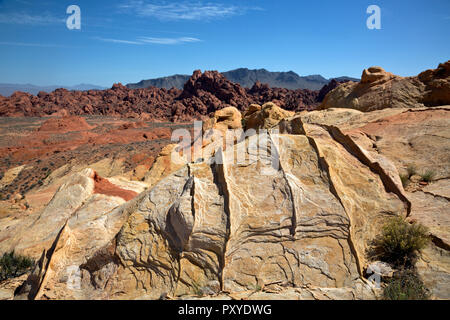 NV00015-00...NEVADA - arenaria multicolore con bande di compattazione tra gli strati nel fuoco Canyon area della Valle di Fire State Park. Foto Stock