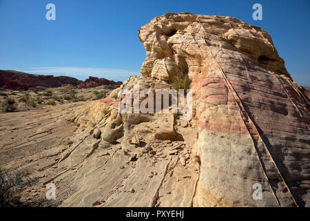 NEVADA - Bande di compattazione in esecuzione attraverso la colorata arenaria stratificata al parcheggio 1 in il Parco della Valle di Fire State nel deserto di Mojave. Foto Stock