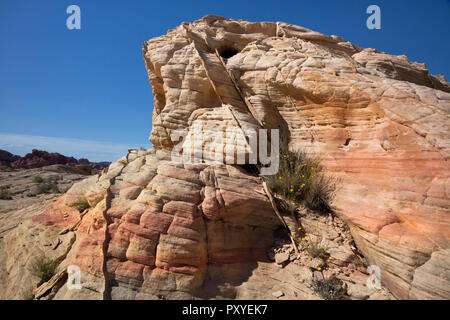 NEVADA - Bande di compattazione in esecuzione attraverso la colorata arenaria stratificata al parcheggio 1 in il Parco della Valle di Fire State nel deserto di Mojave. Foto Stock