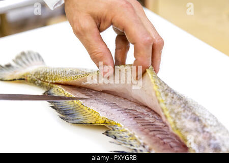 Uno chef sfilettatura un luccioperca con un coltello su bianco tagliere. Foto Stock