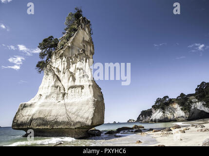 Neuseeland, Nordinsel, Halbinsel Coromandel, Cove Della Cattedrale Foto Stock