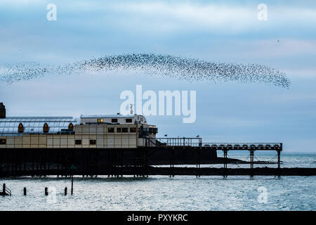 Aberystwyth Wales UK, Mercoledì 24 Ott 2018. Regno Unito Meteo: decine di migliaia di minuscoli storni eseguire elegante e incantevole antenna coreografico 'murmurations' nel cielo sopra Aberystwyth, prima piombando giù al posatoio per la notte della foresta di ghisa gambe al di sotto della città balneare di Victorian Pier. Aberystwyth è una delle poche aree urbane posatoi nel paese e attira gente da tutto il Regno Unito per testimoniare il notturno visualizza Photo credit: keith morris/Alamy Live News Foto Stock