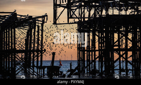 Brighton, Regno Unito. 24 ott 2018. Per gli storni iniziano a roost come il sole tramonta dal Molo Ovest di Brighton questa sera dopo un altro giorno caldo e soleggiato sulla costa sud Credito: Simon Dack/Alamy Live News Foto Stock