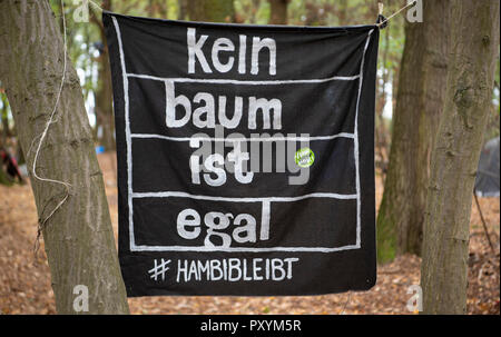 Kerpen, Germania. 24 ott 2018. 24 ottobre 2018, Germania, Kerpen: Nel Hambacher Forst pende un banner con la scritta 'nessun albero non importa - #hambibleibt'. Credito: Christophe Gateau/dpa/Alamy Live News Foto Stock