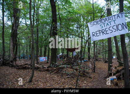 Kerpen, Germania. 24 ott 2018. 24 ottobre 2018, Germania, Kerpen: un banner con la scritta "solidarietà invece di repressione' appeso nel Hambach foresta. Credito: Christophe Gateau/dpa/Alamy Live News Foto Stock