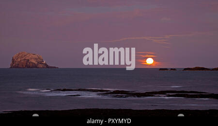 A North Berwick, East Lothian, Scozia, Regno Unito. 24 ott 2018. Il cacciatore Moon Rising a fianco della Bass Rock e il cielo assumendo la tonalità e che riflettono i colori del glorioso tramonto che stava avvenendo di fronte. Foto Stock