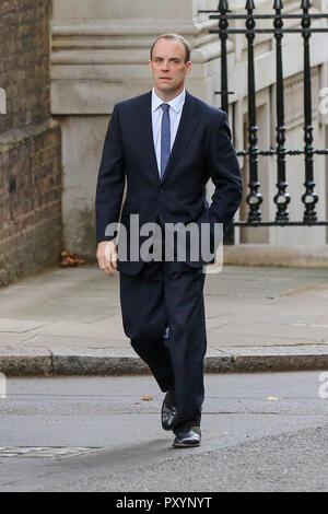 A Downing Street, London, Regno Unito 24 ott 2018 - Dominic Raab - Segretario Brexit arriva a Downing Street per un incontro con il Primo Ministro Theresa Maggio per discutere il Brexit in corso negoziati in seguito come Theresa Maggio facce MPs nel partito conservatore di influenti 1922 Comitato. Credito: Dinendra Haria/Alamy Live News Foto Stock