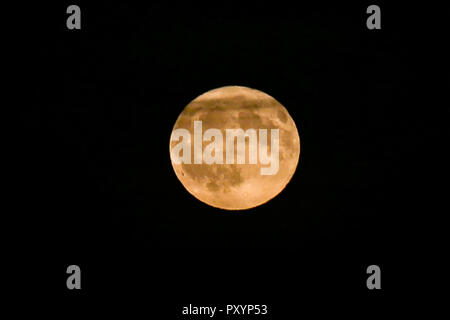 A nord di Londra, Regno Unito. 24 ott 2018. Hunter Luna sorge a nord di Londra. Credito: Dinendra Haria/Alamy Live News Foto Stock