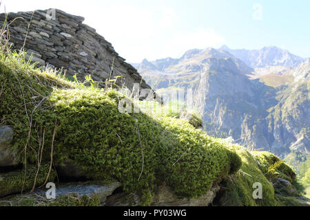 Una tipica casetta rurale tetto è realizzato con muschi e licheni piastrelle coperte durante una soleggiata estate nelle Alpi piemontesi montagne, Italia Foto Stock