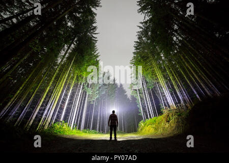 Ampia angolazione, vista posteriore atletico di un uomo con testa torcia elettrica permanente sulla foresta strada di terra tra alte illuminato abeti sotto beautif Foto Stock