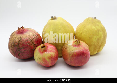 Stock di frutta di immagini di qualità professionale per qualsiasi uso, fresco e succoso Foto Stock