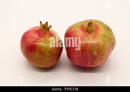 Stock di frutta di immagini di qualità professionale per qualsiasi uso, fresco e succoso Foto Stock