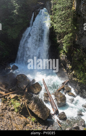 Signora scende in Strathcona Provincial Park sull'Isola di Vancouver, British Columbia, Canada Foto Stock