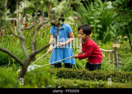Un ragazzo e una ragazza a giocare nel parco e la cattura di farfalle con reti a farfalla, Tokyo Tokyo, Giappone Foto Stock