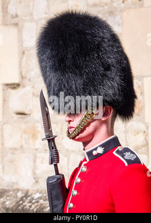 Royal Guard presso la Torre di Londra, in Bearskin Hat, custodendo i Gioielli della Corona, Londra, Inghilterra, Regno Unito, GB. Foto Stock