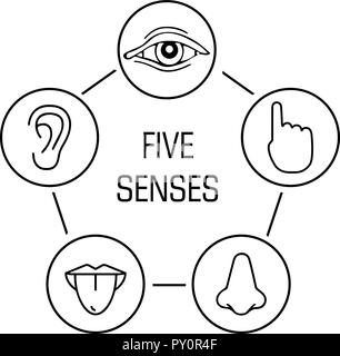 Set di cinque sensi umani. Vista, udito, tatto, gusto, odore icona Illustrazione Vettoriale