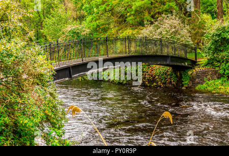 Un pedone visitatore del ponte sul fiume Eachaig in Benmore Botanic Garden, Loch Lomond e il Trossachs National Park, Scozia Foto Stock