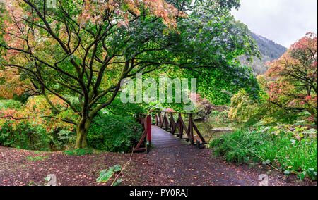 Un piccolo ponte in prossimità di scenic stagno in autunno a Benmore Botanic Garden, Loch Lomond e il Trossachs National Park, Scozia Foto Stock