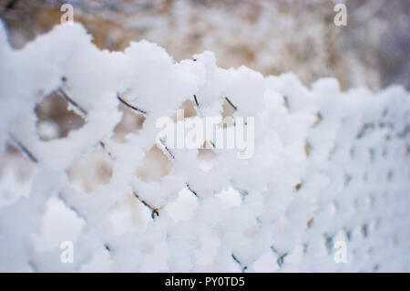 Mesh recinto coperto di uno strato spesso di fresco bianco neve soffice contro uno sfondo sfocato. Inverno freddo giorno di gennaio Foto Stock