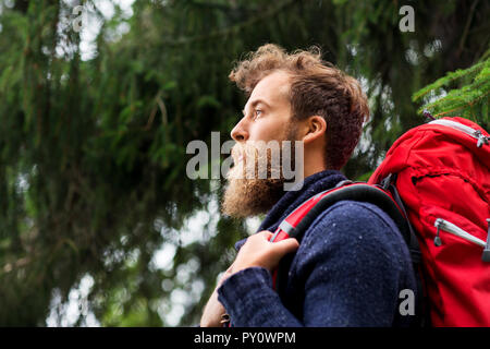 Barbuto viaggiatore con zaino in boschi Foto Stock