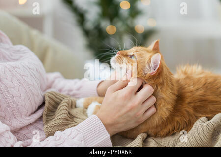Chiusura del proprietario stroking rosso gatto nel letto di casa Foto Stock
