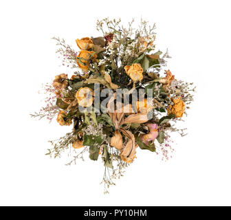Fiori secchi isolati su sfondo bianco Foto Stock