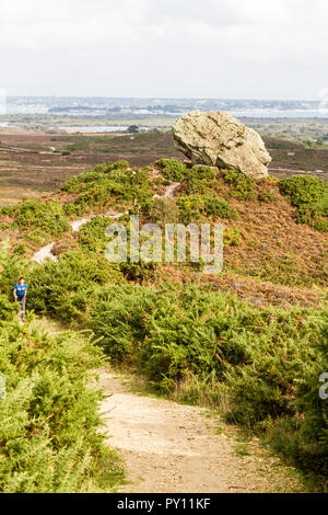 Agglestone Rock, vicino Studland,South Dorset Foto Stock