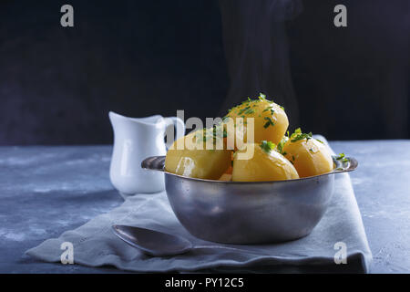 Hot patate bollite in una piastra spolverata con verdi e il fumo su sfondo grigio. Foto Stock